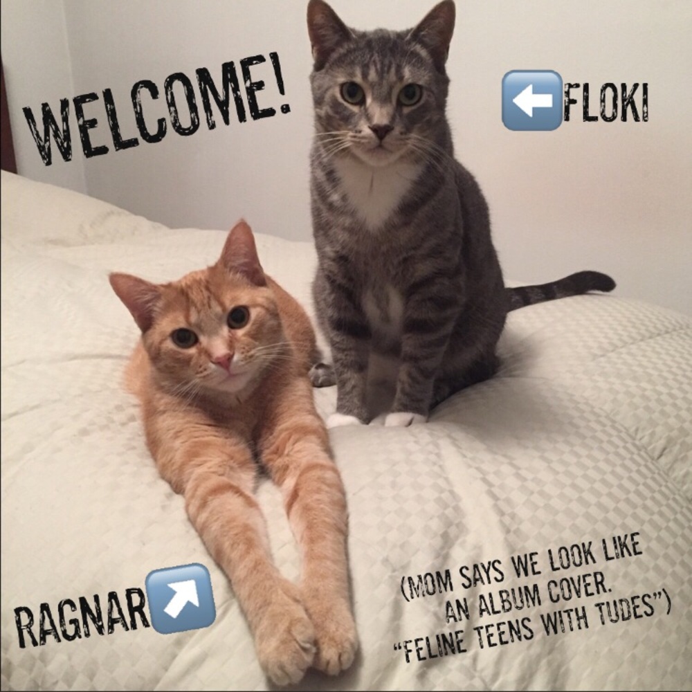 Hi! 👋🏼I’m Katt. Offers always welcome! 🤗